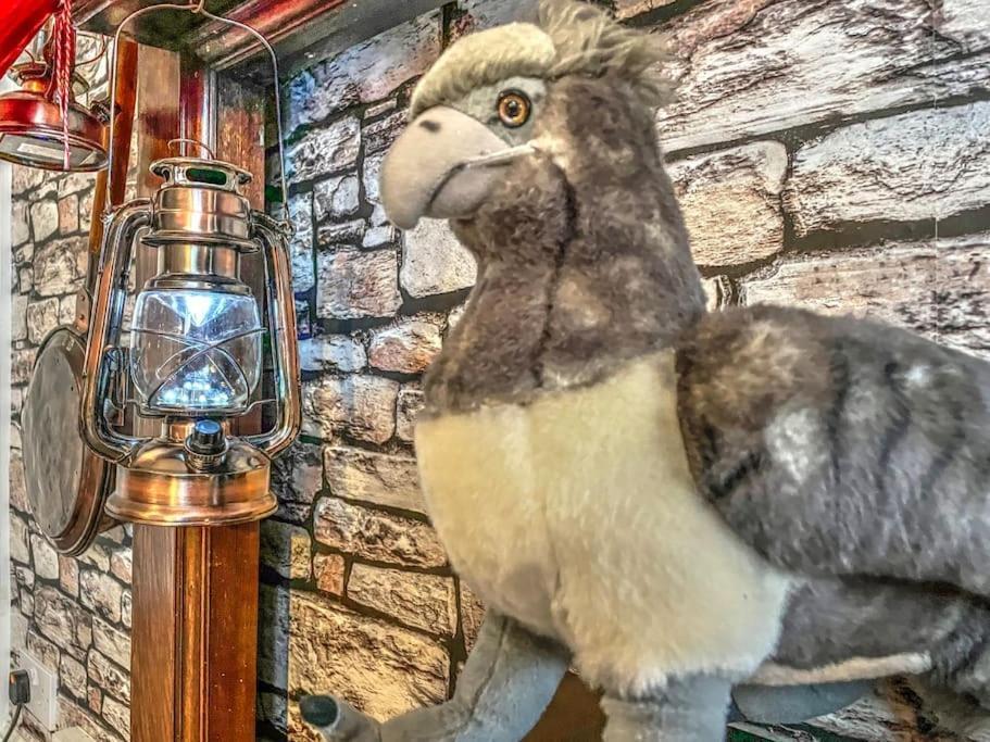 沃特福德Hagrid'S Hut公寓 外观 照片